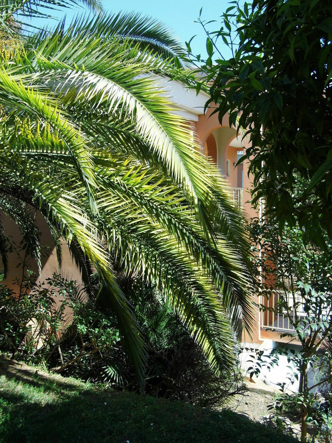 Anis Hotel Nice Dış mekan fotoğraf