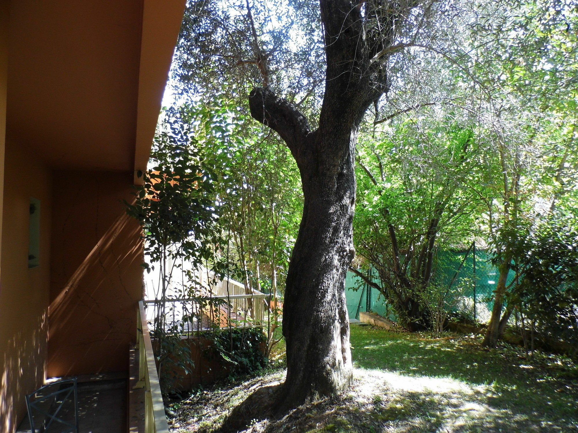 Anis Hotel Nice Dış mekan fotoğraf